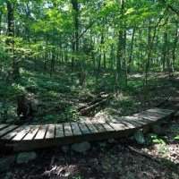 Club de marche - sortie à Burlington Landlocked Forest