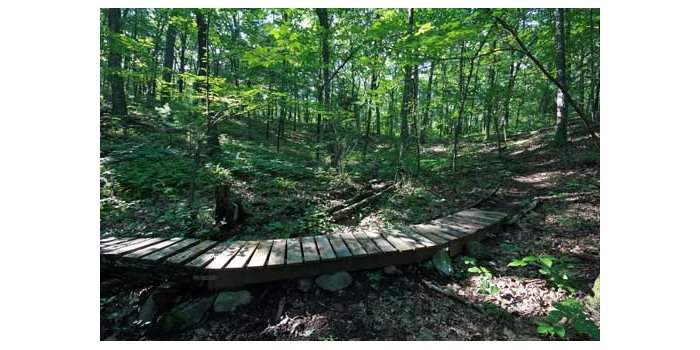 Club de marche - sortie à Burlington Landlocked Forest