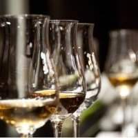 Soirée Dégustation de vins
