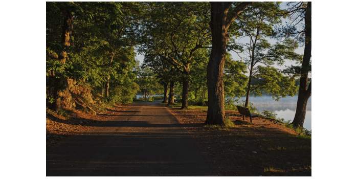 Balade à Horn Pond à Woburn