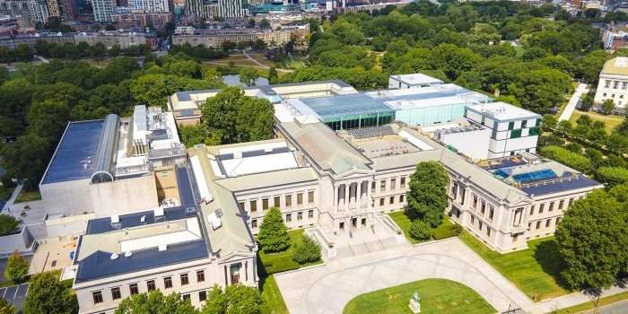 Visite au Museum of Fine Arts, Boston