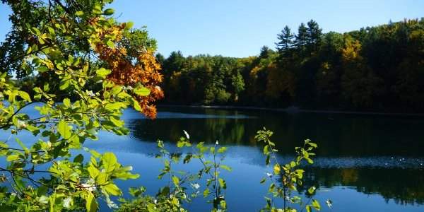 Jardins et Parc de Boston : 